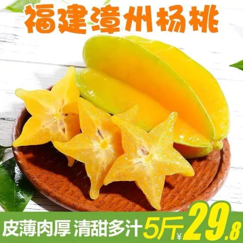 yang tao