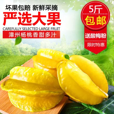 yang tao