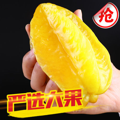 yang tao