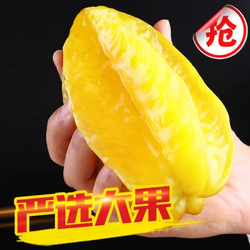 yang tao