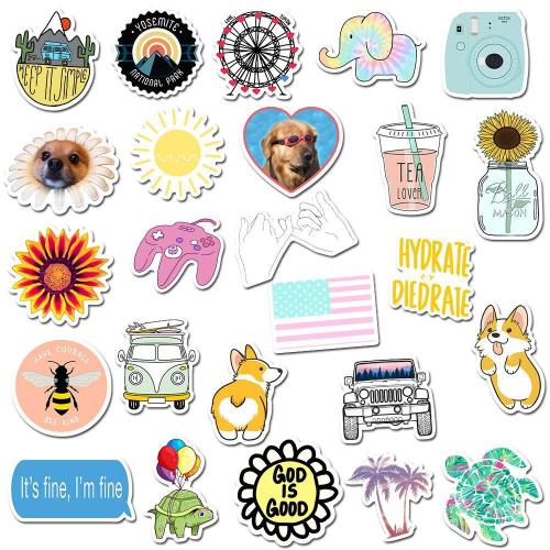 VSCO Girl ( 50 Pcs )