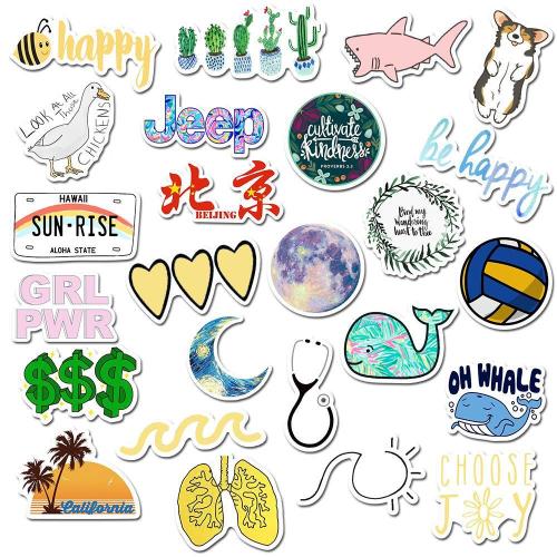 VSCO Girl ( 50 Pcs )