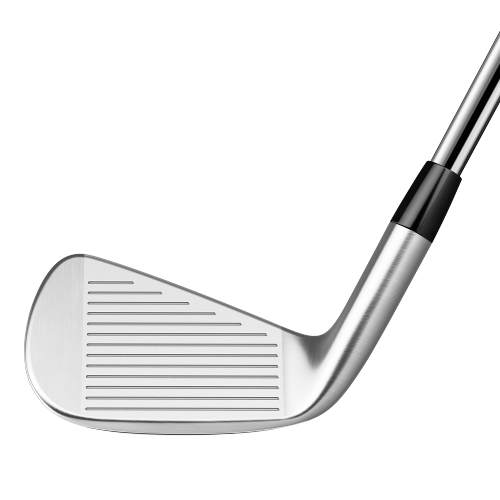 P790 Iron Set w/ DG 105 Steel Shafts