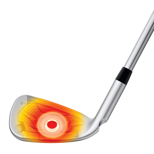 G410 5-PW Black Dot Iron Set w/ Alta CB Red Graphite Shafts