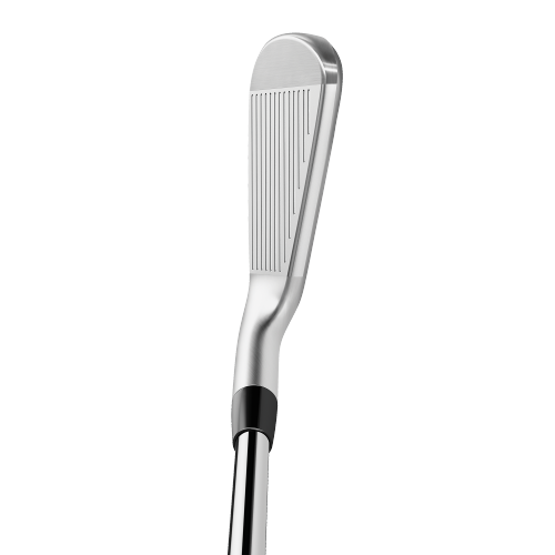 P790 Iron Set w/ DG 105 Steel Shafts