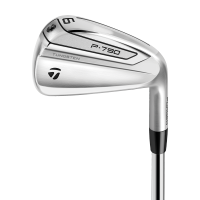 P790 Iron Set w/ DG 105 Steel Shafts
