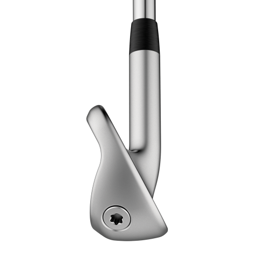 G410 5-PW Black Dot Iron Set w/ Alta CB Red Graphite Shafts
