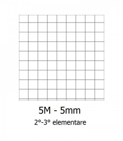 BLASETTI FOGLI PROTOCOLLO 20FG 5M conf. 40pz