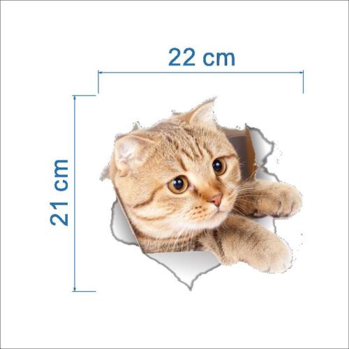 Különböző mintás 3D Törött Fal aranyos Cicás Falimatrica Mosdó Matrica