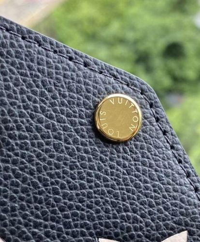 Louis Vuitton Felicie Pochette M69977 M80482