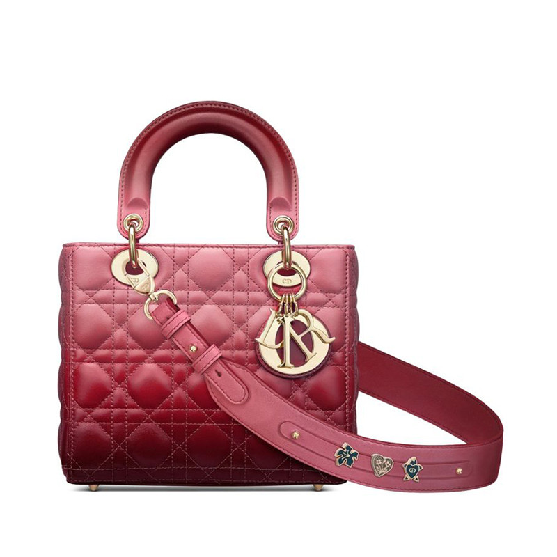 Dior Lady Dior My Abcdior Bag