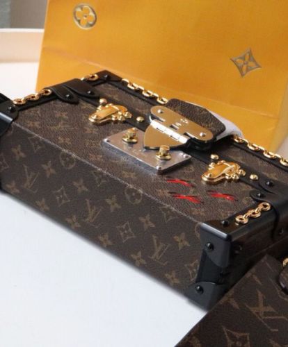 Louis Vuitton Petite Malle M45554 Brown