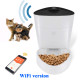 Wifi version