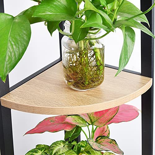 SpringSun 5-Tier Corner Ladder Wood Shelf, Display Rack Multipurpose Bookshelf and Plant Stand for Living Room and Office