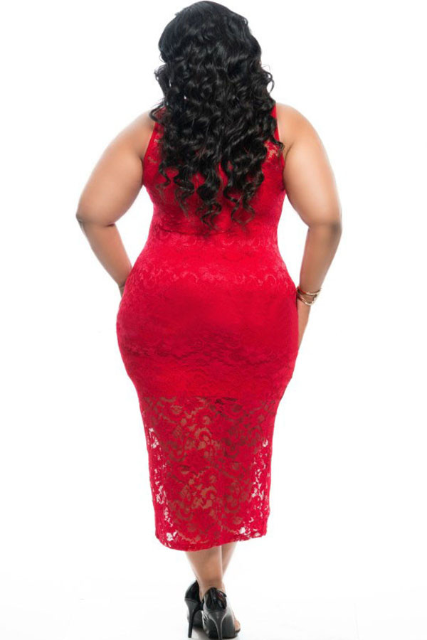Plus Size Sleeveless Lace Zipper Front Dress in Red