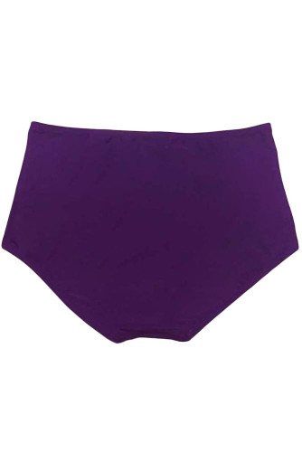 Purple Beach Fashion High Waist Bikini Bottom