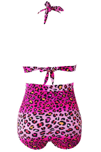 Rosy Leopard Print Retro High Waist 2 Pieces Plus Swimsuit