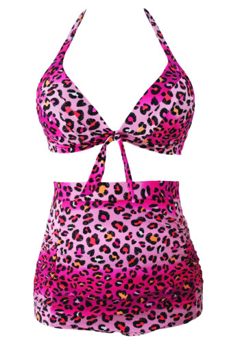 Rosy Leopard Print Retro High Waist 2 Pieces Plus Swimsuit