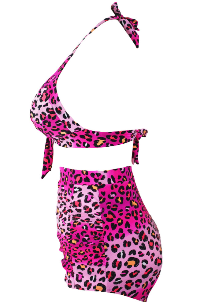 Rosy Leopard Print Retro High Waist 2 Pieces Plus Swimsuit