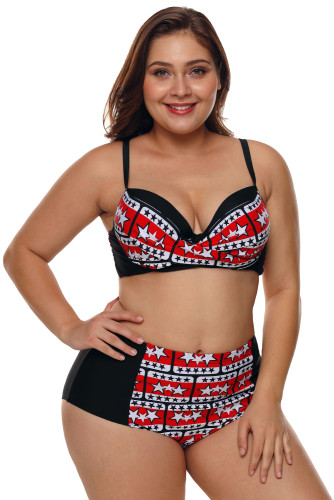 Plus Size Black White Stars Print Bikini Swimsuit