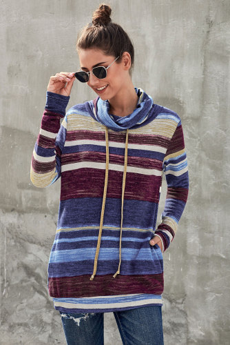 Blue Multicolor Cowl Neck Striped Long Sleeve Sweatshirt