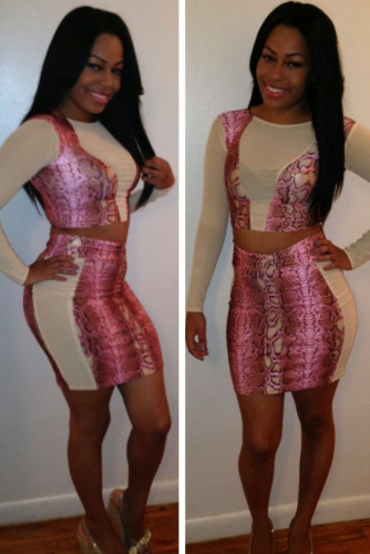 Rosy Snakeskin High Waist Skirt Set