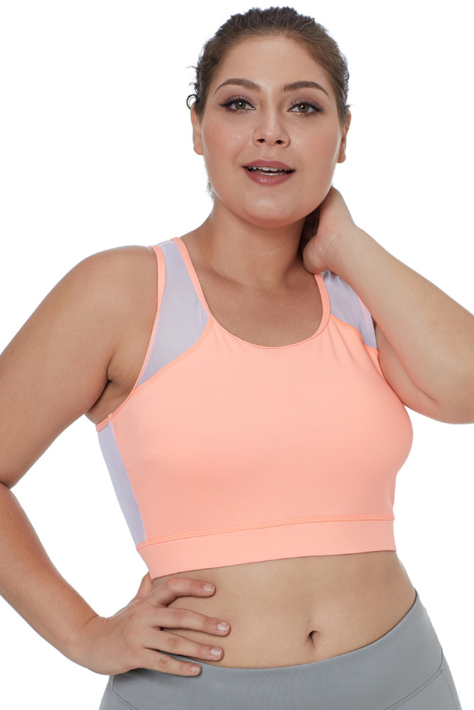 Light Coral Sheer Mesh Back Plus Size Sports Bra