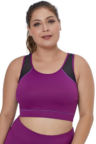 Fuchsia Sheer Mesh Back Plus Size Sports Bra