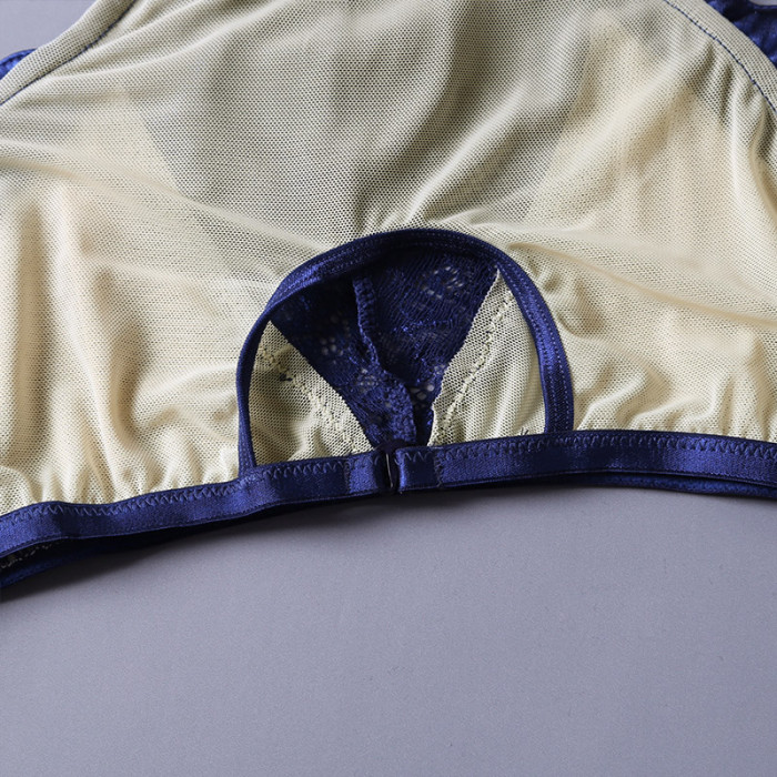 Blue Sheer Lace Mesh Cutout 2pcs Lingerie Set