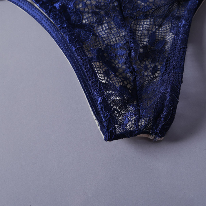 Blue Sheer Lace Mesh Cutout 2pcs Lingerie Set