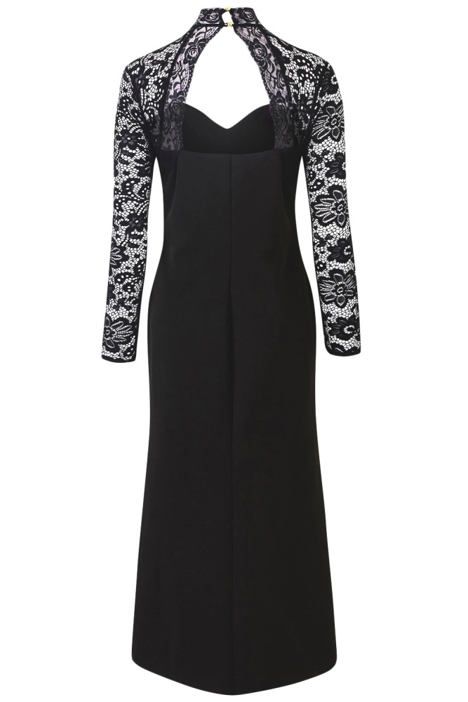Black Sheer Lace Long Sleeve Plus Size Party Dress