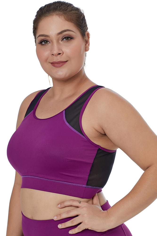 Fuchsia Sheer Mesh Back Plus Size Sports Bra