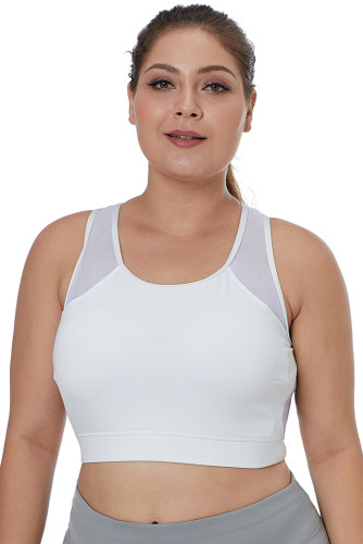 White Sheer Mesh Back Plus Size Sports Bra