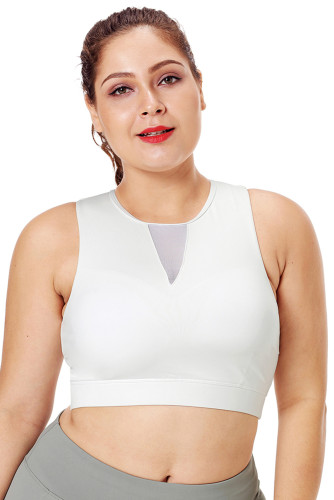 White Mesh Insert High Neck Plus Size Sport Bra
