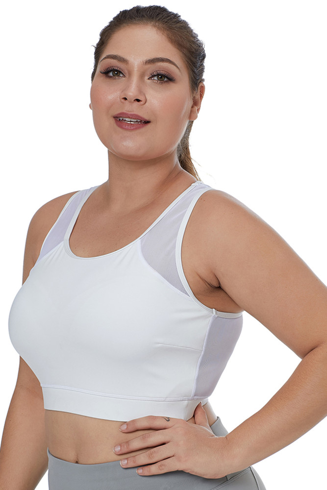 White Sheer Mesh Back Plus Size Sports Bra