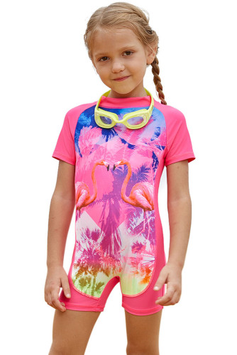 Pink Flamingo Love One Piece Swimsuit for Little Girl