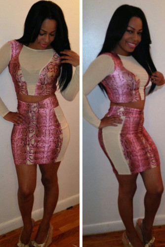 Rosy Snakeskin High Waist Skirt Set