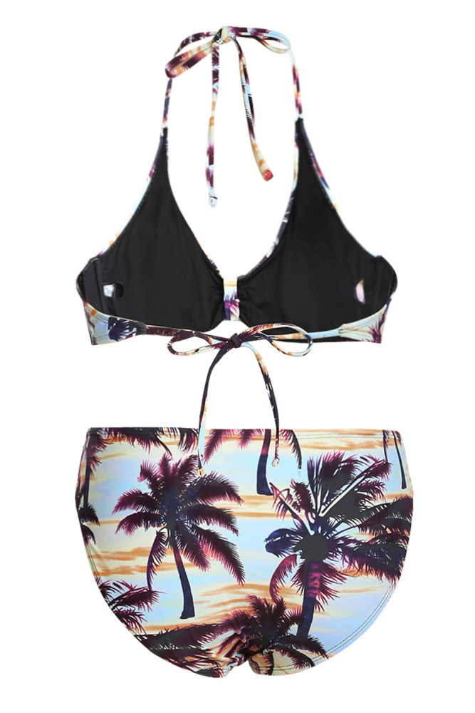 Multicolor Floral Print Halterneck 2 Piece Bikini Set