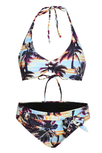 Multicolor Floral Print Halterneck 2 Piece Bikini Set