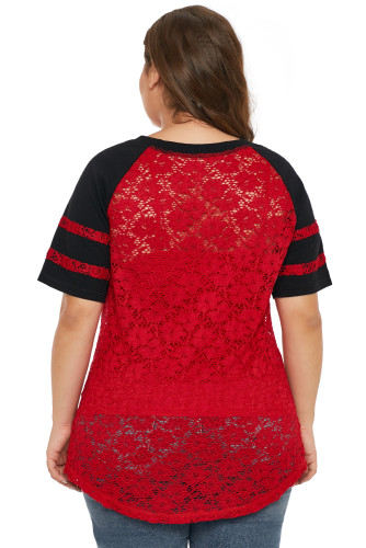 Red Lace Panel Raglan Sleeve Plus Size T-shirt