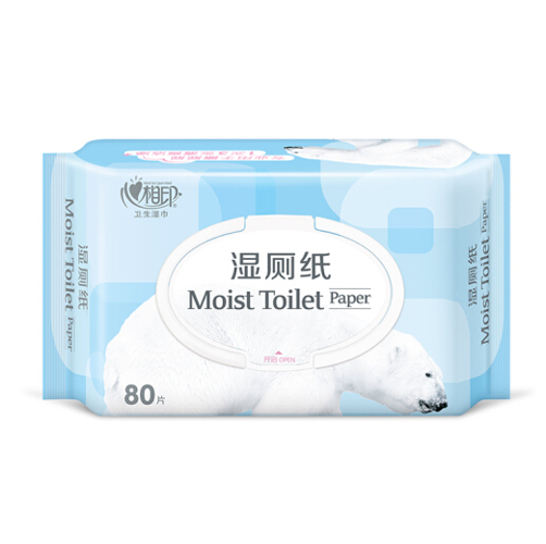 Moist Toilet Paper 5 Packets in One 400 Pieces Wet Toilet Paper