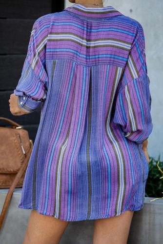 Purple Lines Striped Blouse