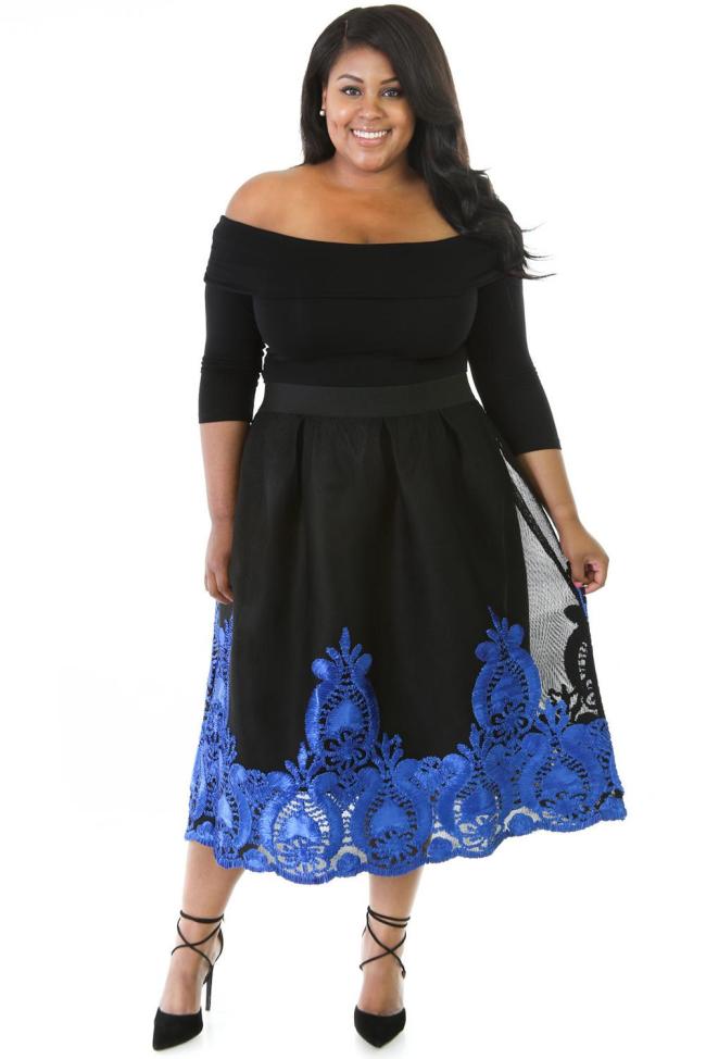 Blue Lacy Embroidery Tulle Skirt Curvy Skater Dress