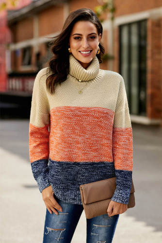 Brown Color Block Netted Texture Turtleneck Sweater