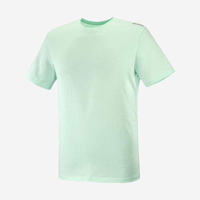 OUTLIFE GRAPHIC PACE SS TEE M - SALOMON