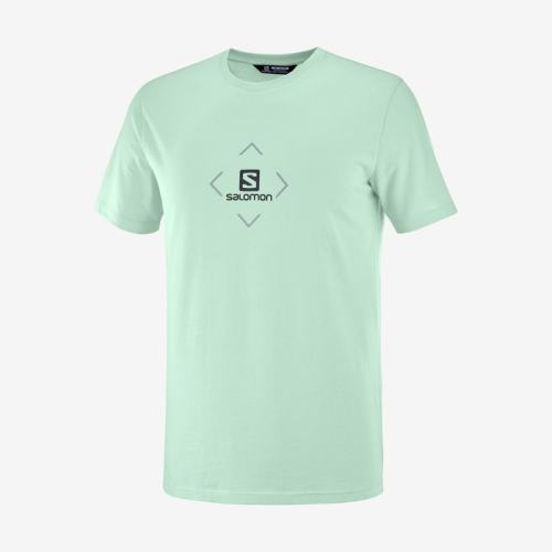 SALOMON COTTON TEE M - SALOMON