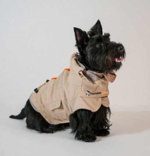 BBB25769716 ThunderCoat for Dogs - Small Coat