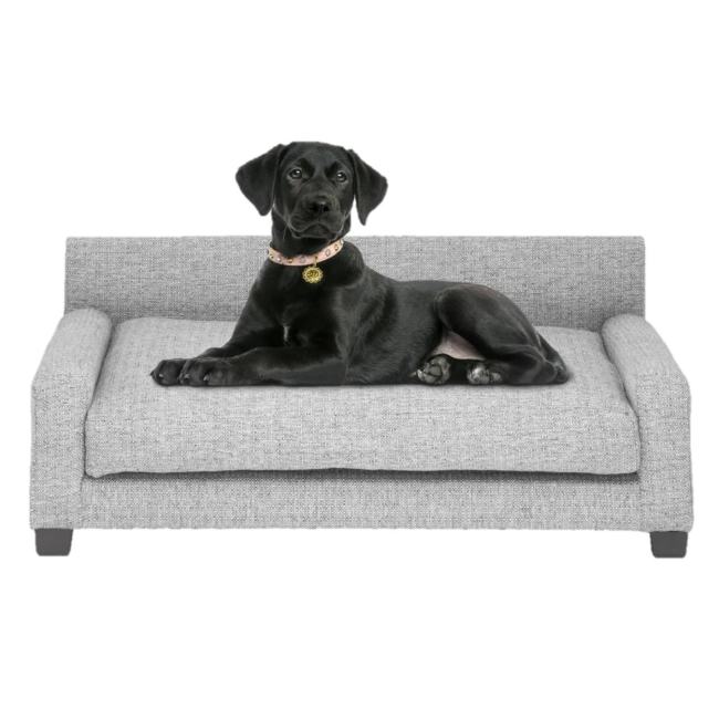 BBB16005894 Club Nine Pets Metro Orthopedic Dog Bed, Small / Metal