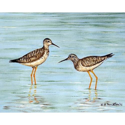 BBB24204511 Betsy Drake Yellow Legs Place Mat Set of 4