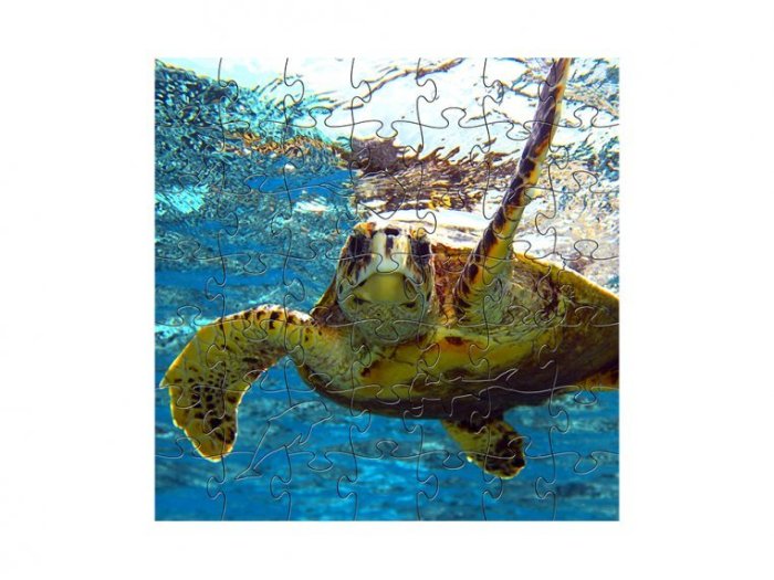 Children's Wooden Jigsaw Puzzle